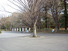 ueno_0114_mini.jpg