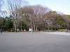 ueno_0116_mini.jpg