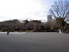 ueno_0119_mini.jpg