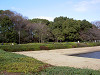 ueno_0122_mini.jpg