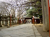 ueno_0154_mini.jpg