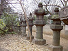 ueno_0157_mini.jpg