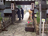 ueno_0158_mini.jpg