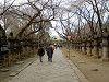 ueno_0159_mini.jpg