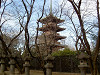 ueno_0160_mini.jpg