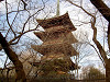 ueno_0161_mini.jpg
