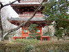 ueno_0162_mini.jpg