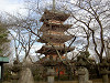 ueno_0166_mini.jpg