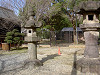 ueno_0169_mini.jpg