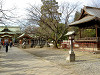 ueno_0171_mini.jpg