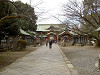 ueno_0172_mini.jpg
