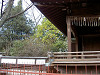 ueno_0173_mini.jpg