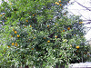 ueno_0175_mini.jpg