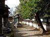ueno_0178_mini.jpg