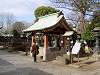ueno_0182_mini.jpg