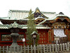 ueno_0189_mini.jpg