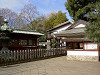 ueno_0192_mini.jpg