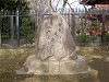 ueno_0193_mini.jpg
