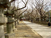 ueno_0194_mini.jpg