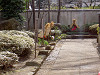 ueno_0199_mini.jpg