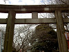 ueno_0201_mini.jpg