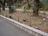 ueno_0204_mini.jpg