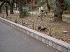 ueno_0206_mini.jpg