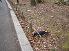 ueno_0208_mini.jpg