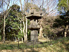 ueno_0209_mini.jpg