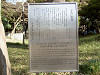 ueno_0211_mini.jpg