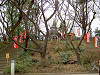 ueno_0215_mini.jpg