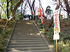 ueno_0219_mini.jpg