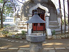 ueno_0221_mini.jpg