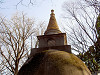 ueno_0227_mini.jpg