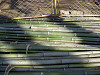ueno_0233_mini.jpg