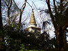 ueno_0248_mini.jpg