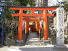 ueno_0258_mini.jpg