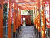 ueno_0259_mini.jpg