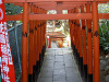 ueno_0260_mini.jpg