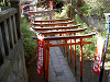 ueno_0261_mini.jpg
