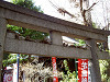 ueno_0262_mini.jpg