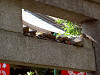 ueno_0263_mini.jpg