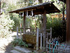 ueno_0264_mini.jpg
