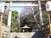 ueno_0277_mini.jpg