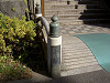 ueno_0278_mini.jpg