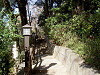 ueno_0280_mini.jpg