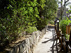 ueno_0282_mini.jpg