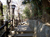 ueno_0283_mini.jpg