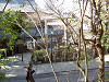 ueno_0284_mini.jpg