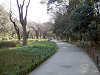 ueno_0285_mini.jpg